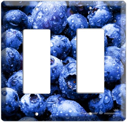 YAMMIE BLUEBERRY KITCHEN DECOR COVER PLATE DECORA ROCKER DOUBLE LIGHT WALL SWITCH PLATE