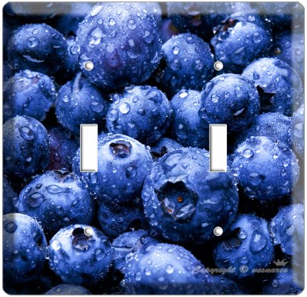YAMMIE BLUEBERRY KITCHEN DECOR COVER DOUBLE LIGHT WALL SWITCH PLATE