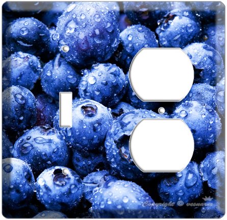 YAMMIE BLUEBERRY KITCHEN DECOR 2 HOLE OUTLET AND SINGLE WALL SWITCH PLATE COVER COMBO