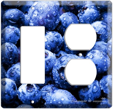 YAMMIE BLUEBERRY KITCHEN DECOR 2 HOLE DECORA ROCKER OUTLET AND SINGLE WALL SWITCH PLATE COVER COMBO