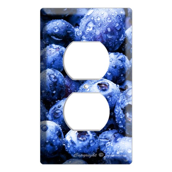 YAMMIE BLUEBERRY KITCHEN DECOR 2 HOLE OUTLET WALL PLATE COVER