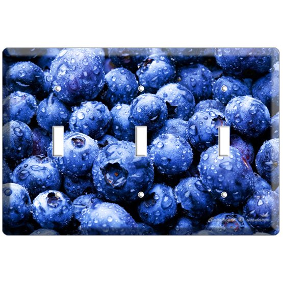 YAMMIE BLUEBERRY KITCHEN DECOR COVER TRIPLE LIGHT WALL SWITCH PLATE