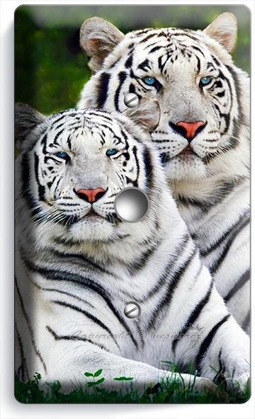 WILD WHITE BENGAL TIGERS LIGHT DIMMER VIDEO CABLE WALL PLATE ROOM ART HOME DECOR