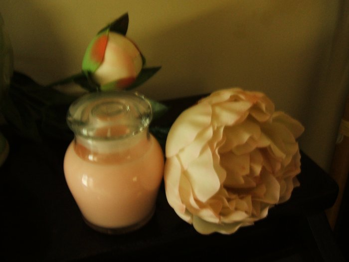 Honey Pot 5 oz. Soy Candle