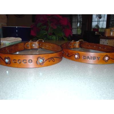 Personalized Dog Collar