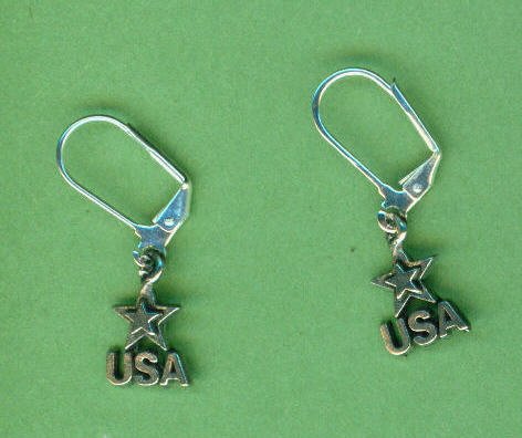 'USA' Earrings