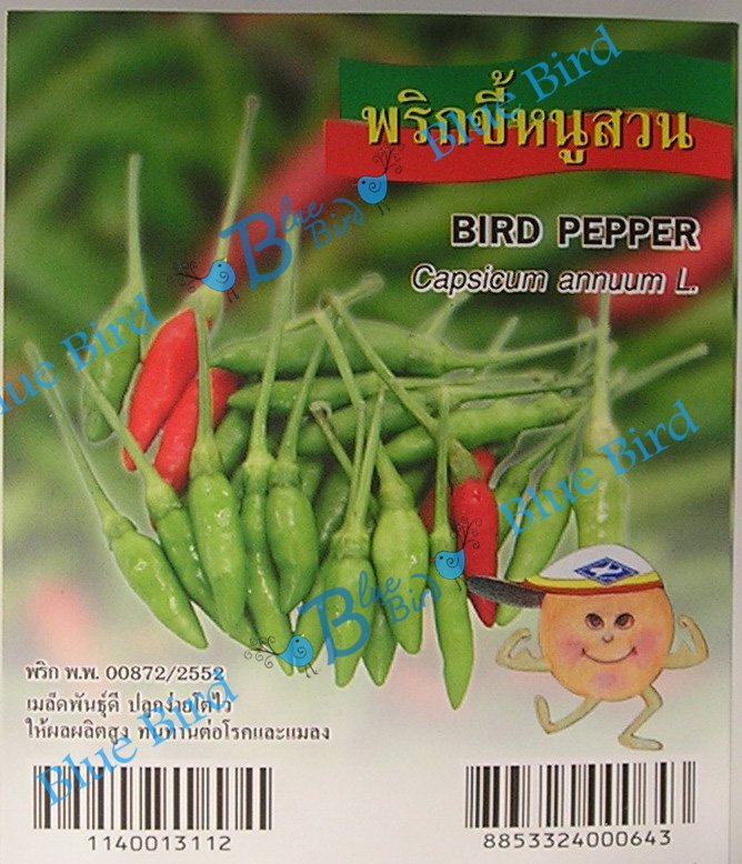 100 Seeds Thai Bird Pepper - Hot Pepper : Vegetable Seed w S&H Free