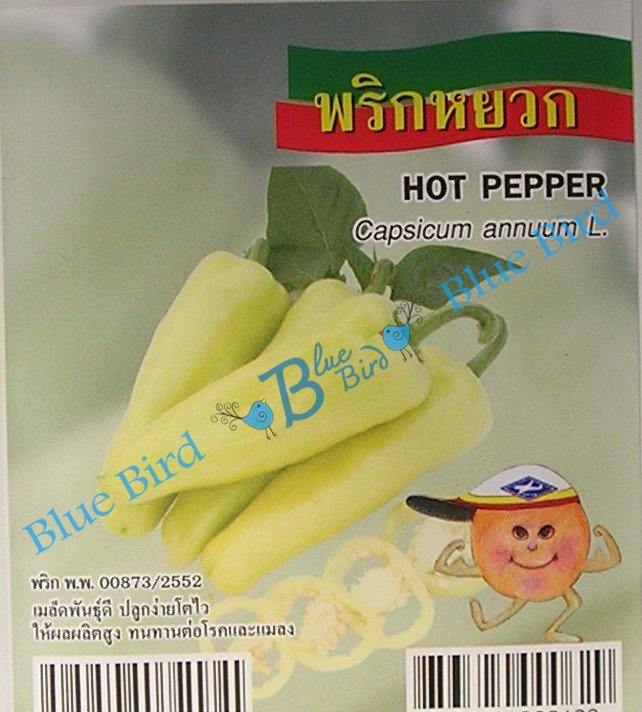 Light Green-Yellow Hot Pepper/ Mild Chili : Vegetable Seeds w S&H Free