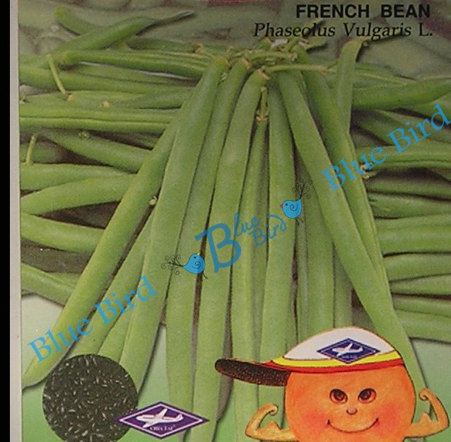 French Bean : Vegetable Seeds