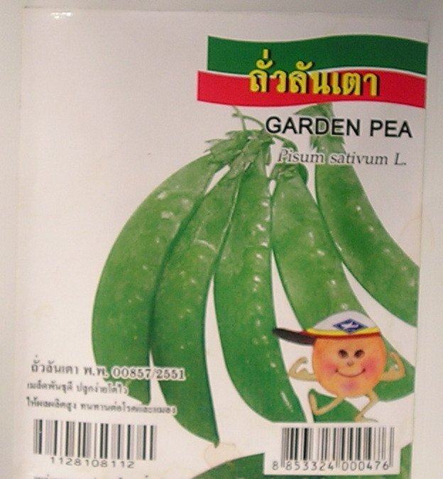Garden Pea - Vegetable Seeds