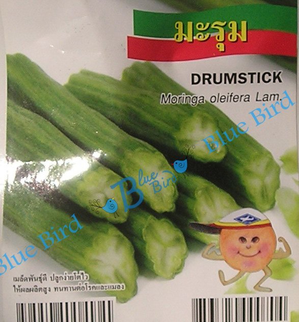 Maroum or Drumstick - Vegetable Seeds w S&H free