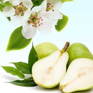 1 Oz Anjour Pear Blossoms Fragrance Oil