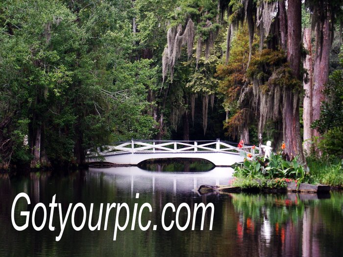 Magnolia Plantation Original Photography 11x14
