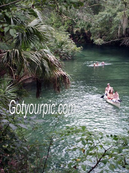 Florida Tropical Lagoon Original Print 11x14