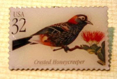 Crested Honeycreeper Tropical Bird stamp pin lapel 3224