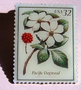 Pacific Dogwood Flowers lapel pins hat stamp pin 3197