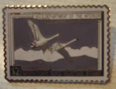 Trumpeter Swan duck stamp pin lapel hat tie tac RW17