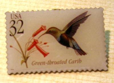 Green-throated Carib Tropical Bird stamp pin hat 3223