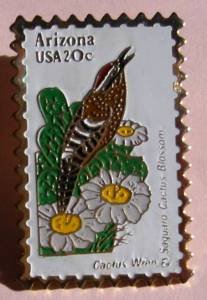Arizona AZ Cactus Wren Saguaro stamp pin hat 1955 S