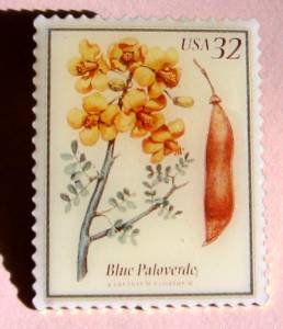 Blue Paloverde Flowering Trees Stamp Pin lapel 3194
