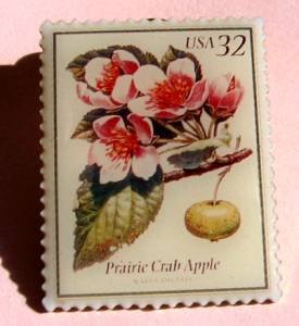 Prairie Crab Apple Flowering Trees Stamp Pin lapel 3196