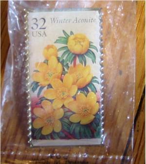Winter Aconite Garden Flower stamp pin lapel hat 3026 s