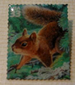 Douglas Squirrel lichen stamp pin lapel pins hat 3378i
