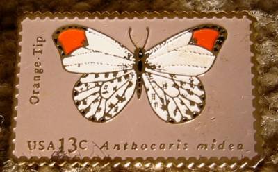 Orange-tip butterfly stamp pin lapel pins hat 1715