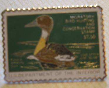 Fulvous Whistling duck stamp pins lapel pin hat rw53 S