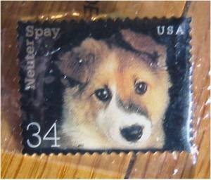 3671 Dog Puppy Neuter Spay Stamp pin lapel hat error S