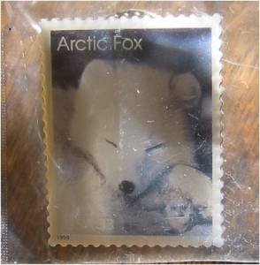 Arctic Fox Stamp pin lapel pins hat tie tac new 3289 s