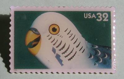Parrot Bright Eyes Stamp pin lapel hat tie tac new 3233 s