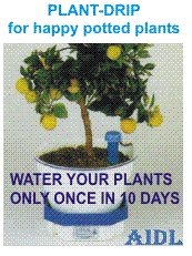 Plant-drip - the Watering Device For Potted Plants - Basic Model