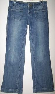 American Eagle Ladies 4R Jeans Blue Hip Huger