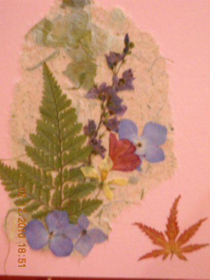 Hydrangea~maple leaf card