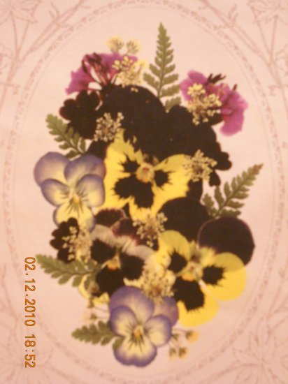 Pansies