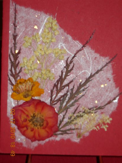 Rose Pressed Flower Card