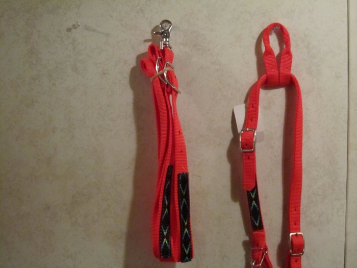 Bright Orange Nylon Headstall & Contest Reins