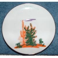 Blakely Oil Giveaway Saucer Arizona Cholla Cactus