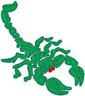 Scorpion