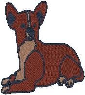 Chihuahua