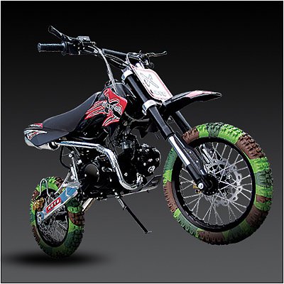 125cc taotao dirt bike 4 stroke with Free Shipping
