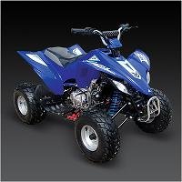 Tao Tao 250cc Atv Water cooled Free shipping