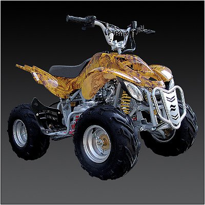 Brand New 110cc 4-stroke FULLY Automatic ATV 4 WHEELER Free Shipping