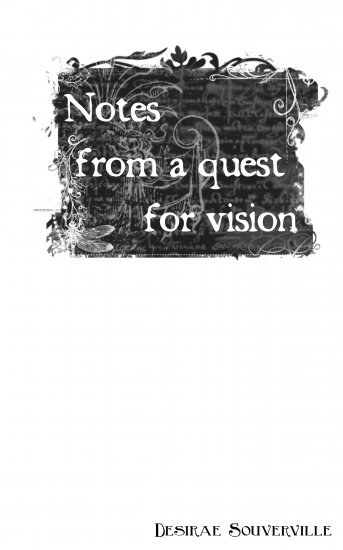 Notes From a Quest For Vision