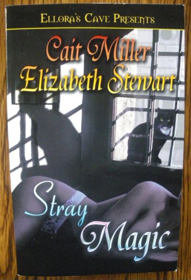STRAY MAGIC by Cait Miller & Elizabeth Stewart