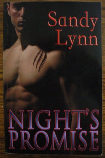 NIGHT'S PROMISE by Sandy Lynn