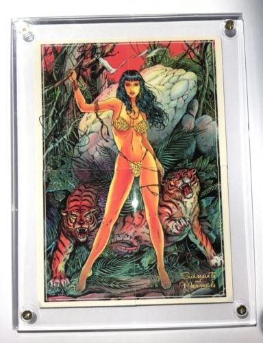 TWO SIGNED Don Paresi & Steve Woron 4 Part-BETTY PAGE Puzzle Trading Cards