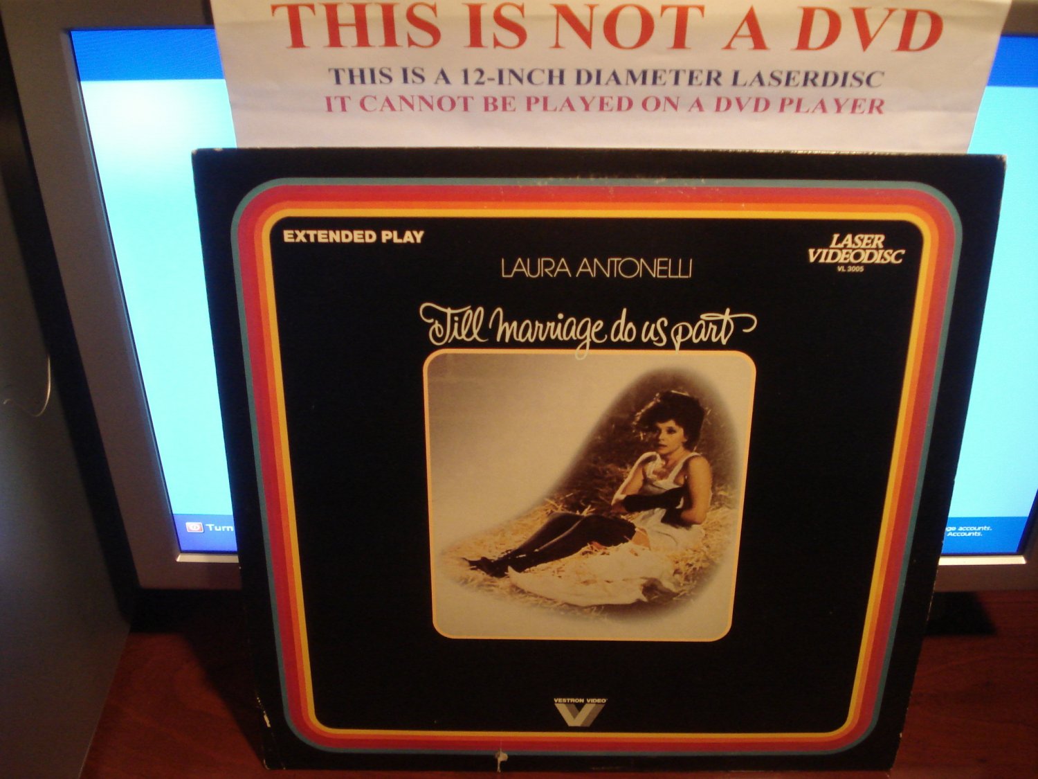 Laserdisc TILL MARRIAGE DO US PART (1979) Laura Antonelli FS Rare Classic LD