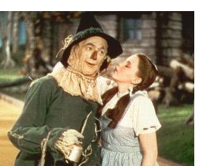 100 transfer quilt blocks wiz of oz